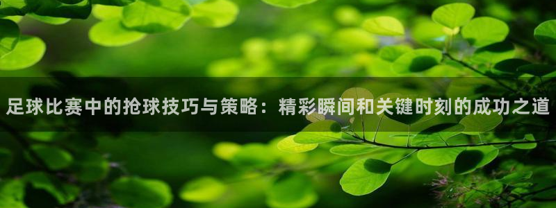球探比分即时足球比分捷报手机官网：足球比